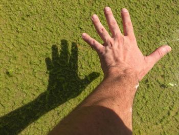 High angle view of people shadow on grass