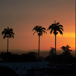 Silhouette palm trees against sky during sunset