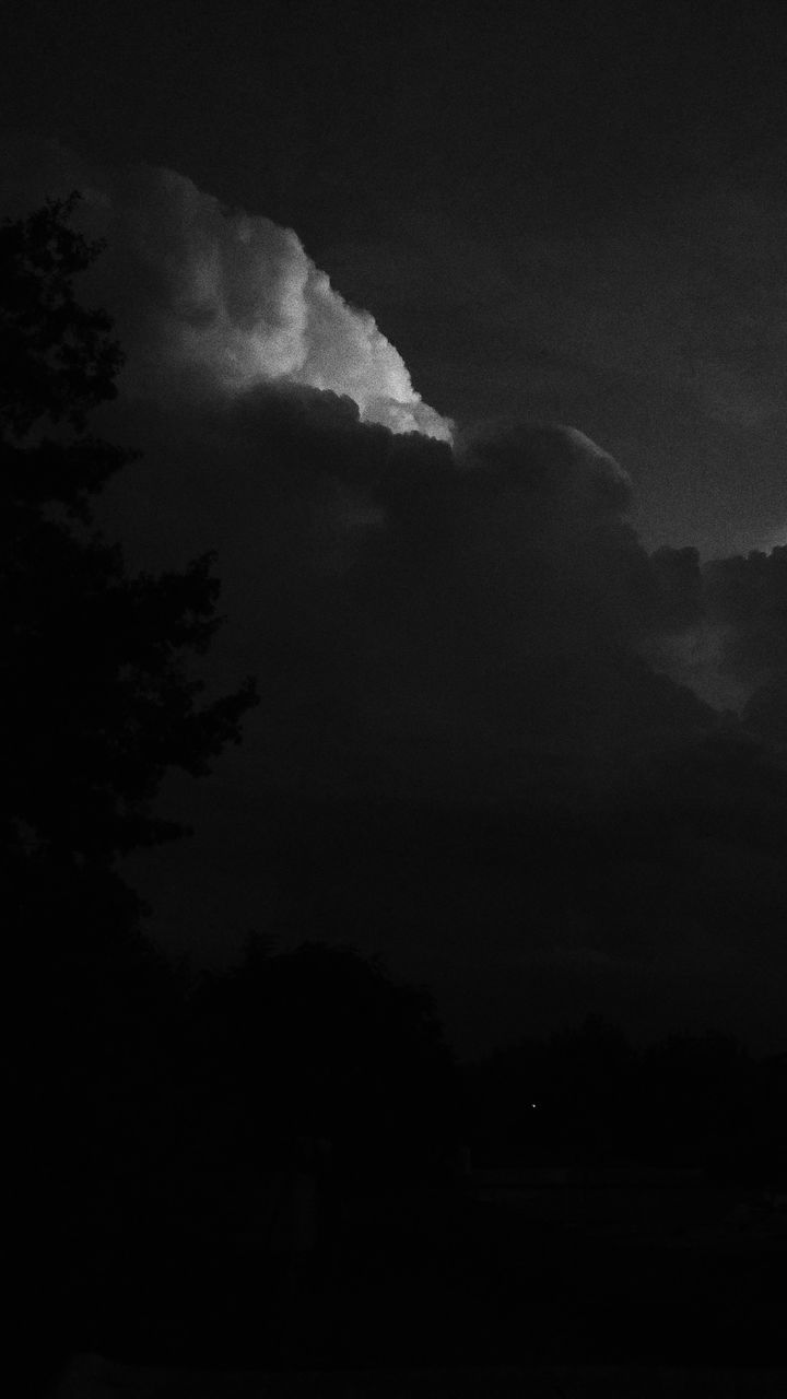 LOW ANGLE VIEW OF SILHOUETTE TREES AGAINST SKY AT NIGHT