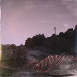 Trees on field against sky at dusk