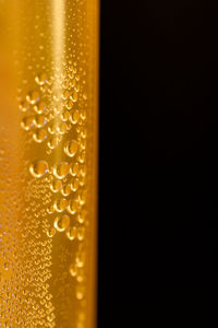 Close-up of water drops on glass