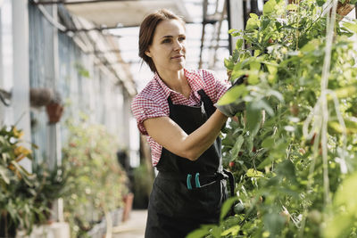 Woman checking plants in greenhouse