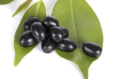 Close-up of black fruits on white background