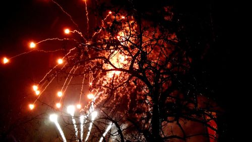 Low angle view of trees against sky at night