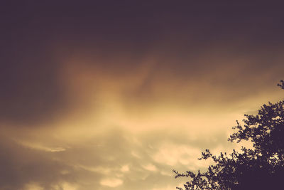Low angle view of silhouette trees against sky at sunset