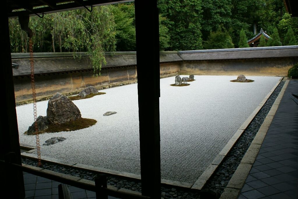 CLOSE-UP OF BIRDS ON BRIDGE OVER WATER