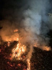 Low angle view of burning leaves