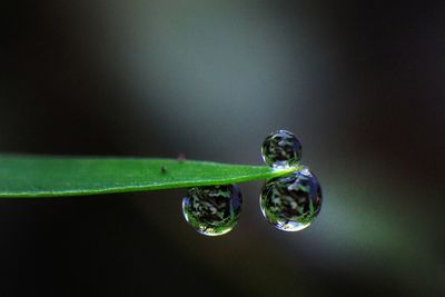 Close-up of water