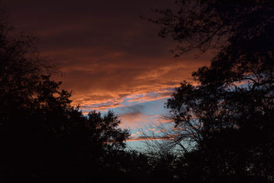 Low angle view of silhouette trees against sky during sunset