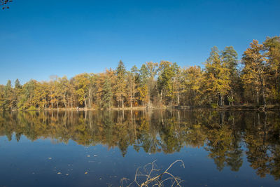 Scenic view of lake by trees against clear blue sky