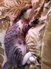 Midsection of person relaxing on bed