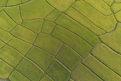 Full frame shot of green field