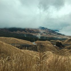 Scenic view of landscape against sky