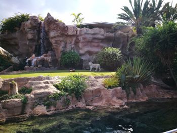 View of rock formation against sky