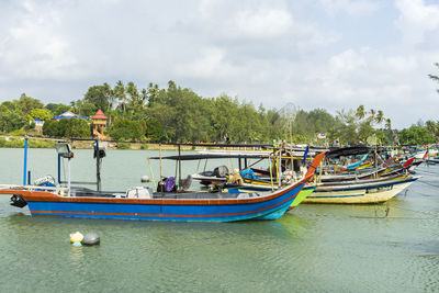 Boats moored by trees against sky