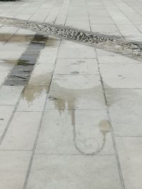 Wet tiled floor