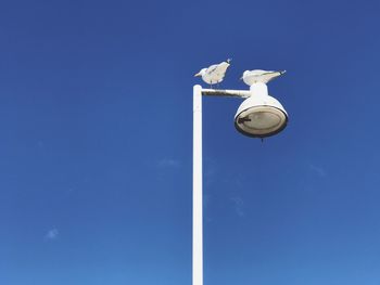 Low angle view of vapor trail against clear blue sky