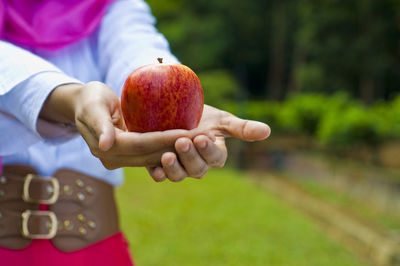 Midsection of woman holding apple while standing in park