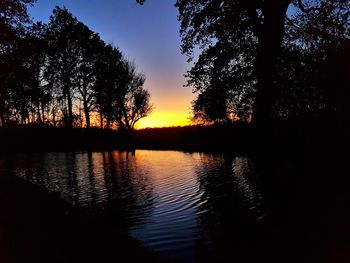 Silhouette of trees at sunset
