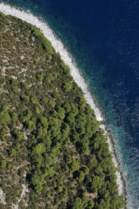 High angle view of trees by sea