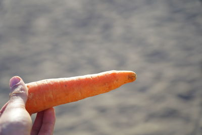 Close-up of hand holding ice cream