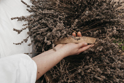 High angle view of woman holding lavender in wooden basket