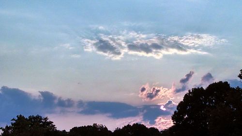 Low angle view of silhouette trees against sky