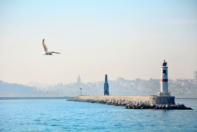 Seagull flying over sea with lighthouse in background