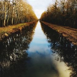 Canal amidst trees against sky