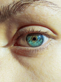 Close-up portrait of human eye