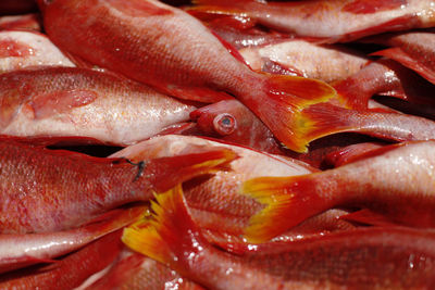 Full frame shot of fish for sale in market