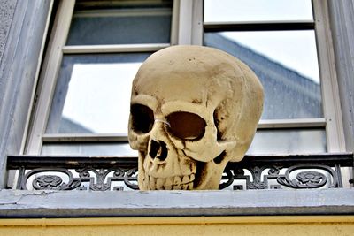 Decorative skull
