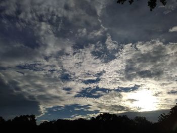 Low angle view of silhouette trees against sky