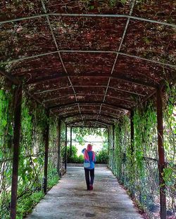 Rear view of woman standing on footpath amidst trees