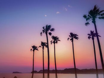 Silhouette palm trees at beach against sky during sunset