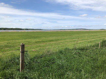 Field near the limfjord