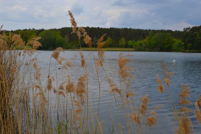 Scenic view of lake against sky