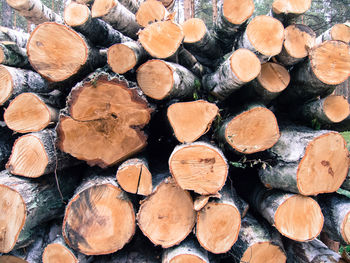 Full frame shot of logs