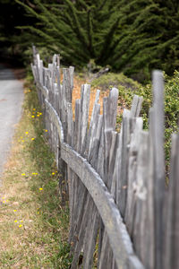 Close-up of wood against trees