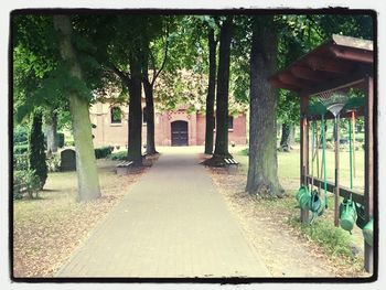 Walkway along trees