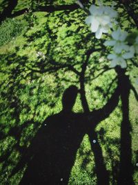 Shadow of woman on tree in forest