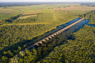 High angle view of agricultural field