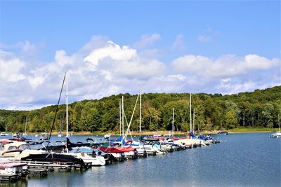 Sailboats moored in marina against sky