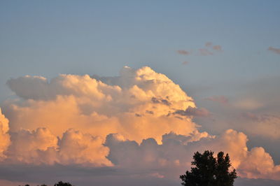 Low angle view of silhouette trees against sky