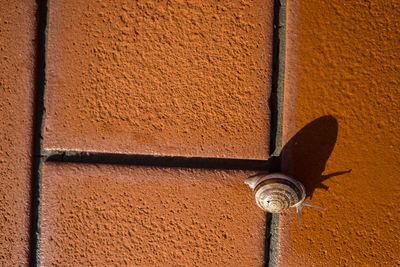 Close-up of pipe on wall