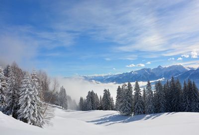 Scenic view of snow covered mountains against sky
