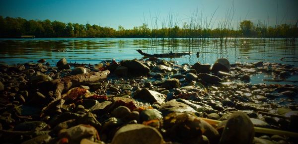 Surface level of calm lake against sky