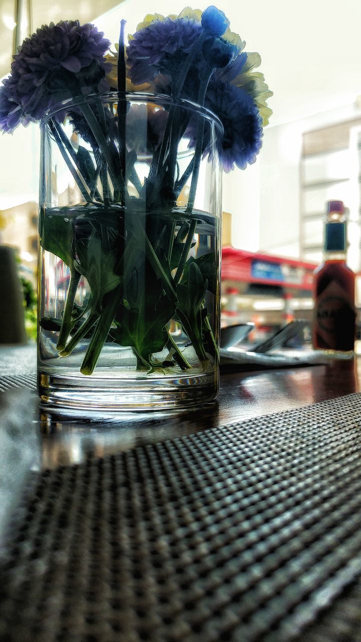 table, glass - material, architecture, building exterior, surface level, houseplant, day, outdoors, growing, no people, outside
