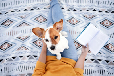 Top view of woman having fun with jack russel dog, sitting on blanket,reading a book.