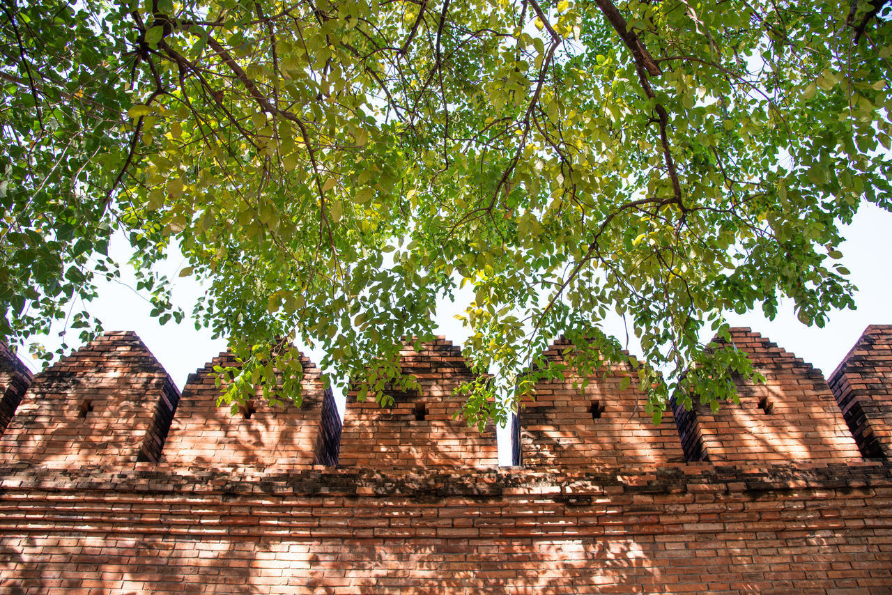 LOW ANGLE VIEW OF OLD TEMPLE AGAINST TREES